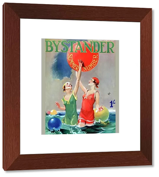 Front cover of The Bystander by Barribal