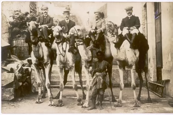 Tourists on camels - Egypt