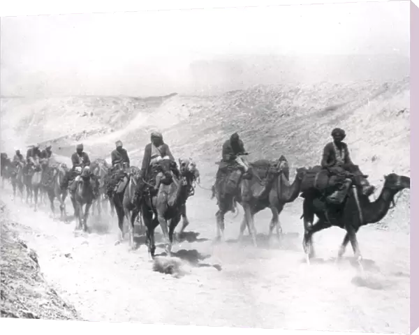 Desert Mounted Corps with camels, Jordan, WW1
