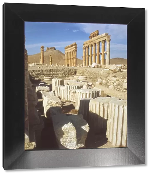 Syria  /  Palmyra  /  Colonnade