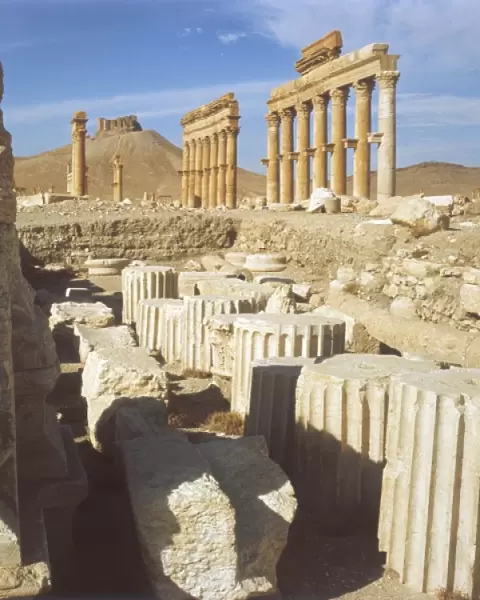 Syria  /  Palmyra  /  Colonnade