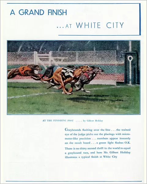 Advert for White City Greyhound Racing 1937