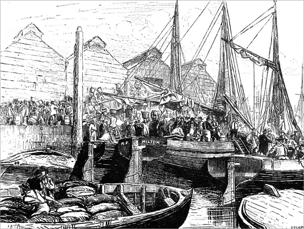 Oyster Boats at Billingsgate Market, London, 1877