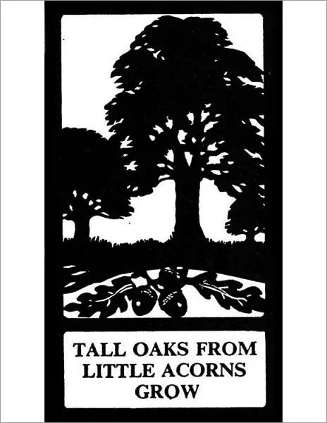 Silhouette, Tall Oaks from Little Acorns Grow