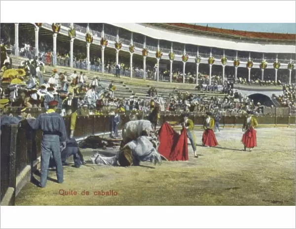 Spanish Bullfighting Series (4  /  12)