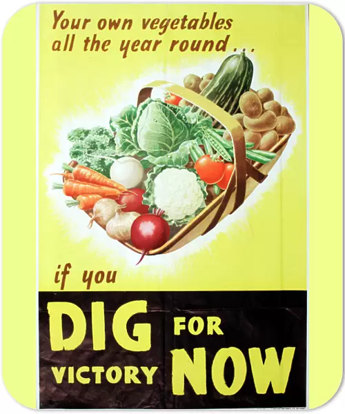 Poster: Dig For Victory Now