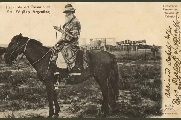 Gaucho on a stallion - Rosario, Argentina