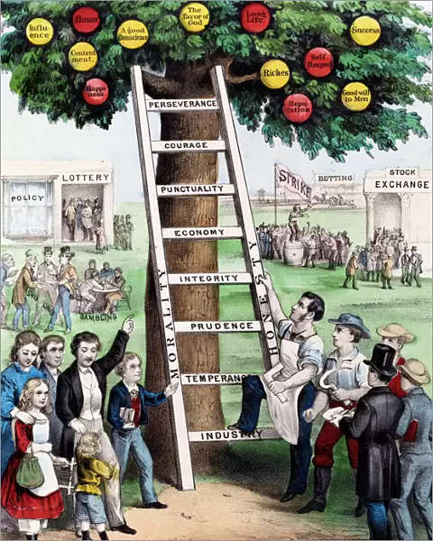 The Ladder of Fortune