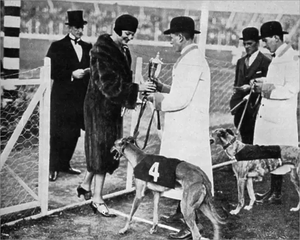Greyhound racing at White City, 1927