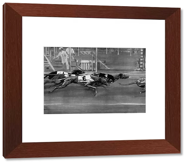 Greyhound racing 1927