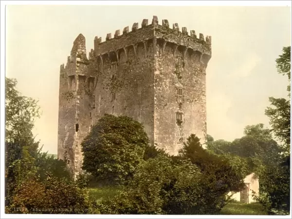 Blarney Castle. County Cork, Ireland