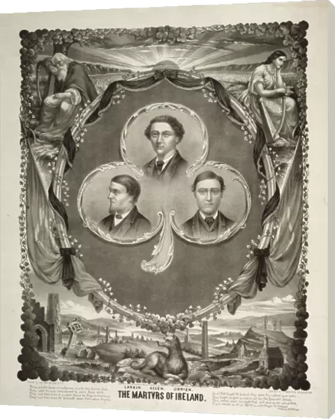 The martyrs of Ireland
