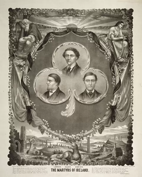 The martyrs of Ireland