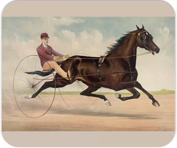 Trotting stallion Phallas, driven by Ed. Bithers: by Dictato