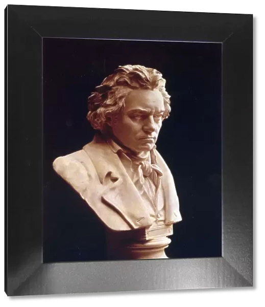 Ludwig van Beethoven - studied from the death mask i. e. life