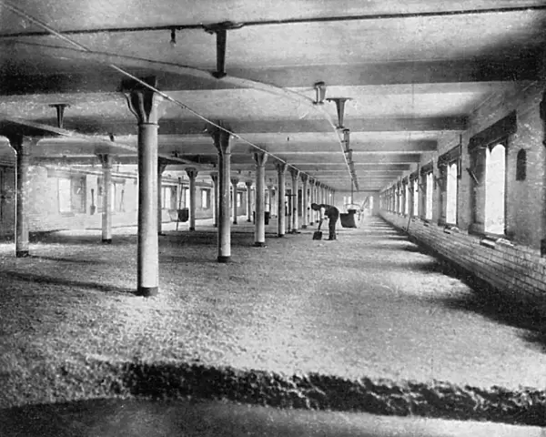Mitchells and Butlers Brewery Malting Floor