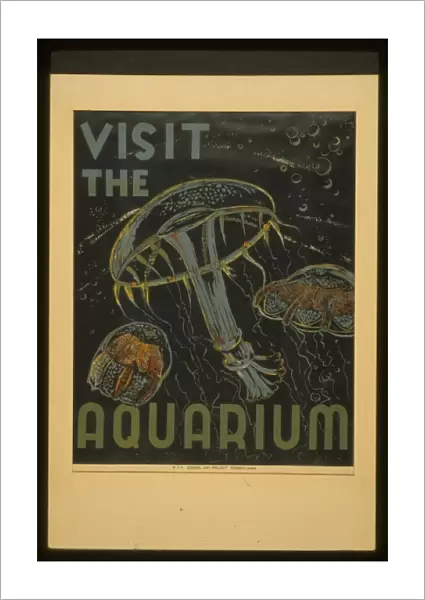 Visit the aquarium