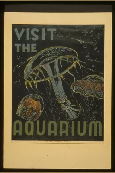 Visit the aquarium