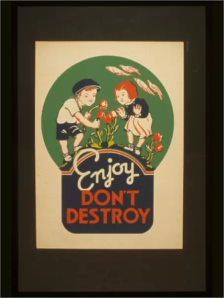 Enjoy - don t destroy