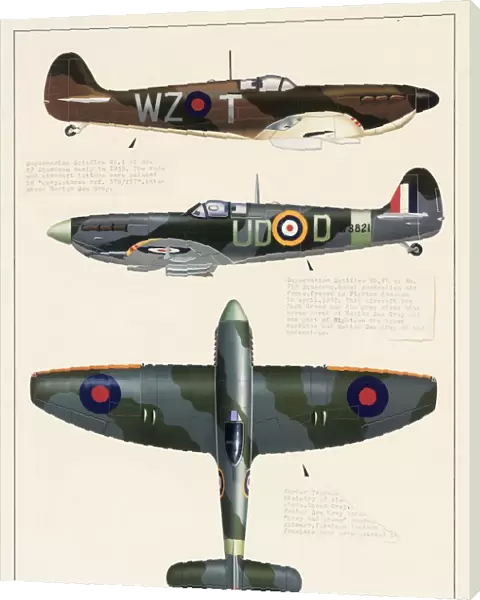 Supermarine Spitfire and Hawker Tempest aeroplanes
