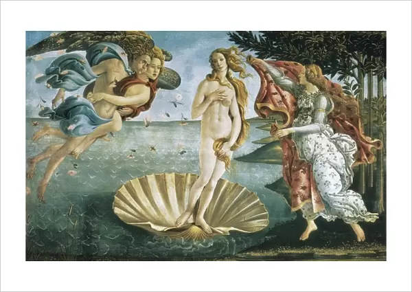 Birth of Venus. Alessandro (Sandro) Botticelli