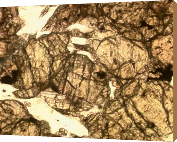Microscope image of the Zagami shergottite