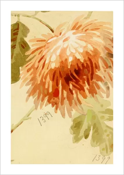 Design for wallpaper with orange flower