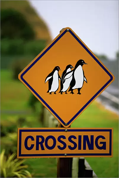 Penguin crossing road sign Coromandel Peninsula, New Zealand LAN03820