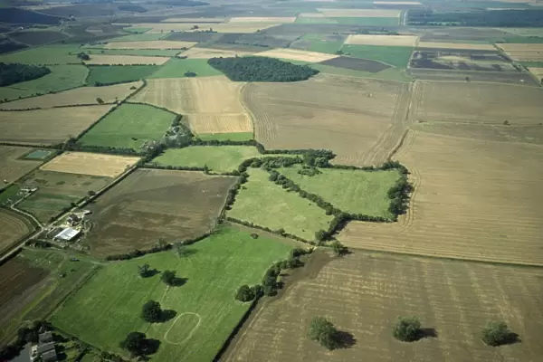 UK - aerial view Upwood Meadows National Nature Reserve, Cambridgeshire