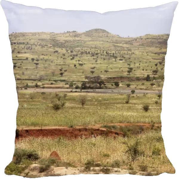 Key Afer - Amo Kofa area - South Ethiopia