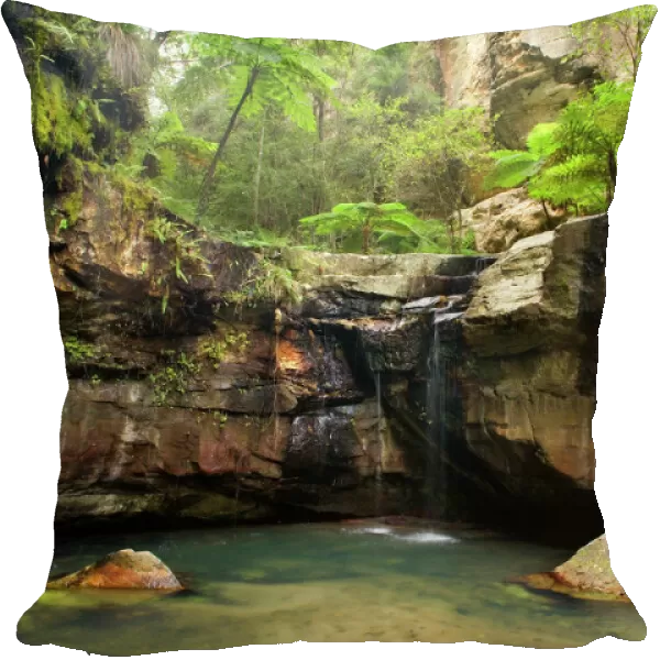 Moss Garden - idyllic oasis within Carnarvon Gorge, located in Queensland's arid outback. Moss Garden has got it's lush beauty from a cut subterranean watercourse, which provides a permanent waterflow