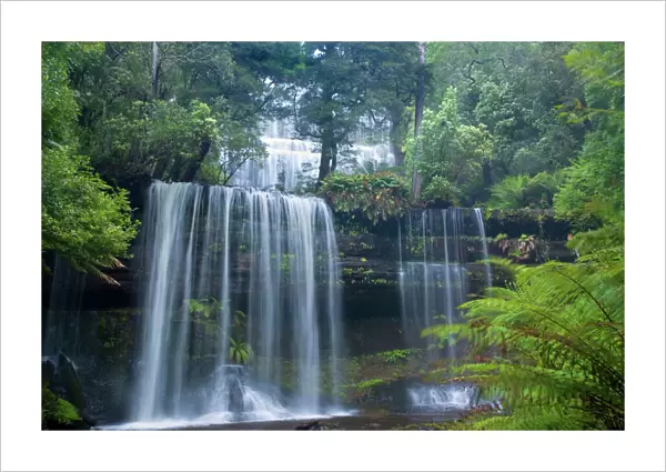 Russell Falls - stunning waterfall amidst lush temperate rainforest. Different kinds of ferns dominate the vegetation around the plunge pool - Mount Field National Park, Tasmania, Australia