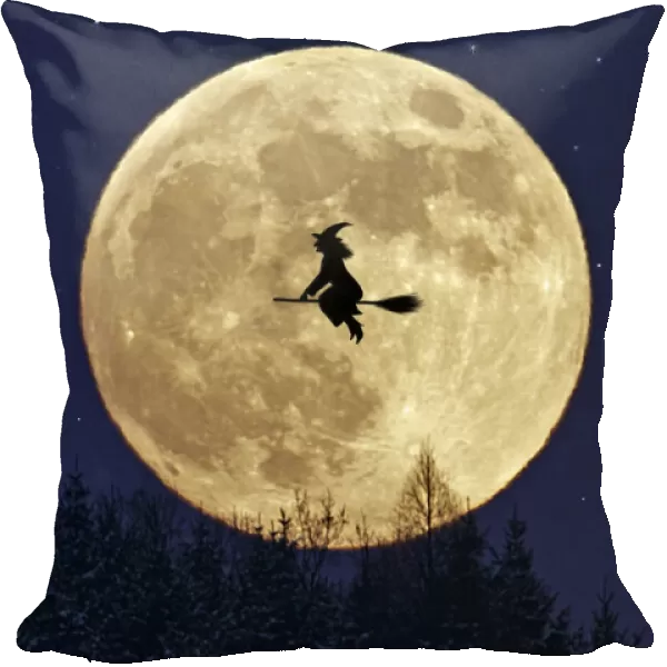 13132678. Witch flying on broomstick past a full moon, above forest in winter. Date