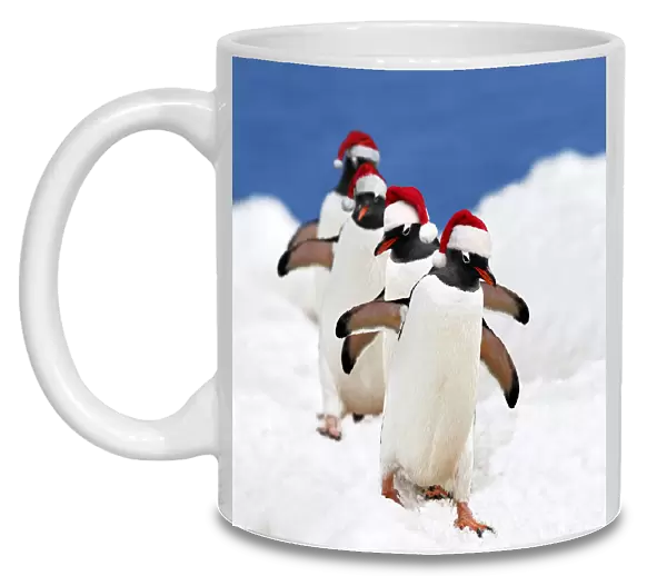 WAT-15427. Gentoo Penguin - marching in red Christmas Santa hats Date