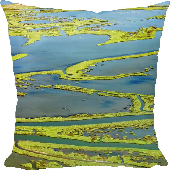 Wetland on the Aegean coast, Turkey. Date: 21-08-2018