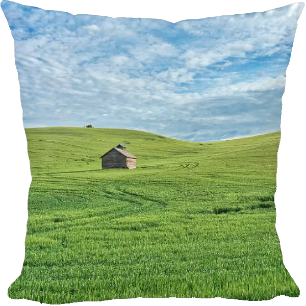 USA, Washington State, Small barn and tracks in wheat field Date: 11-06-2020