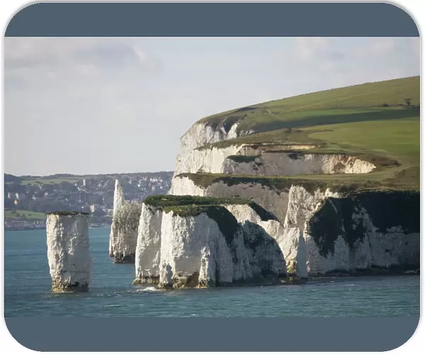 Chalk cliffs and sea stacks Harry Rocks near Studland Poole Harbour Dorset UK