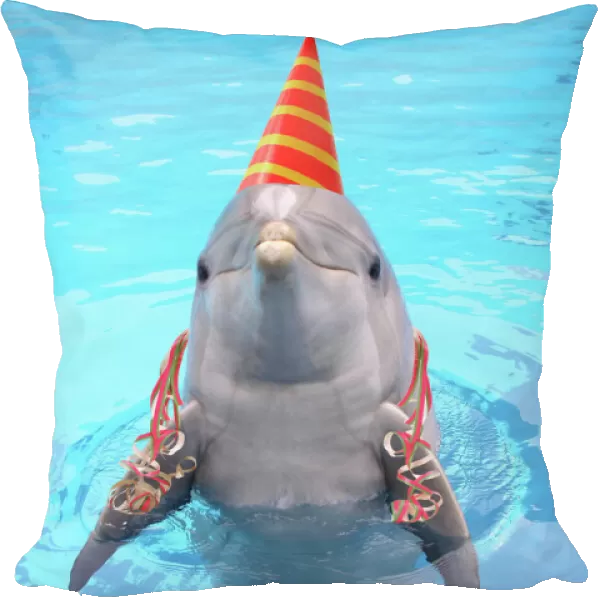 Bottlenose dolphin - with party hat & streamers Digital Manipulation: Streamers JD. Hat drawn