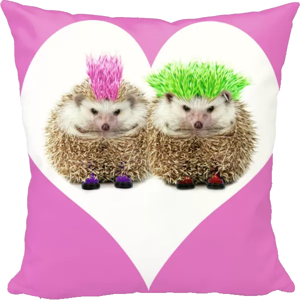 Punk girl and boy Hedgehog - in pink heart shaped frame. Manipulated image (hair extended & coloured. Jewellery added. Pink heart frame)