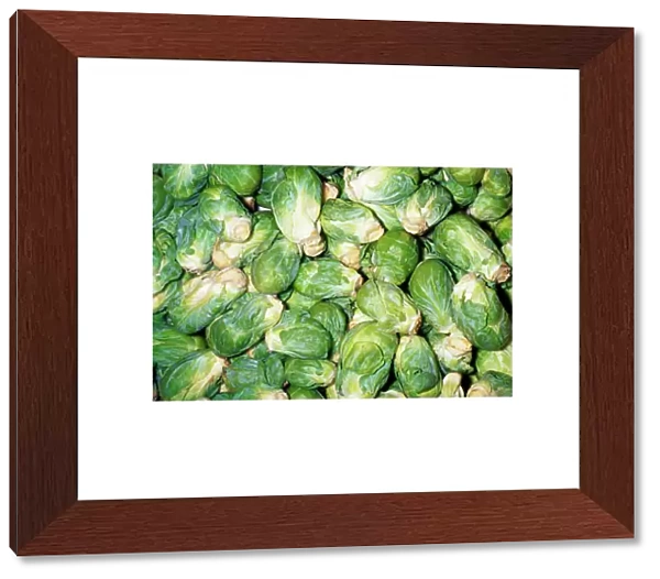 Brussels Sprouts Developed in Brussels, Belgium