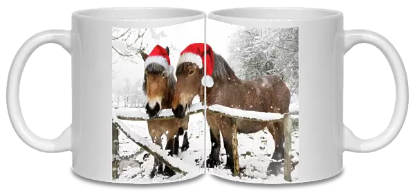 Belgian horses - in winter wearing Christmas hats Digital Manipulation: removed wire from fence - added falling snow - hats Su