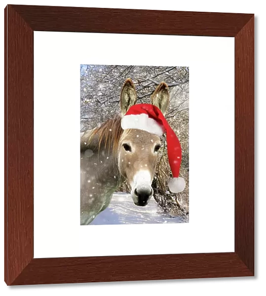 Donkey - wearing Christmas hat in snowy scene Digital Manipulation: Added JD background falling snow - hat JD