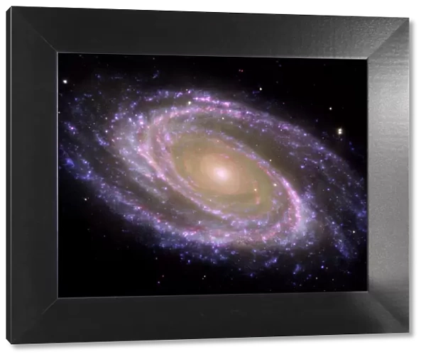 Spiral galaxy M81, composite image