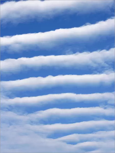 Altocumulus undulatus clouds