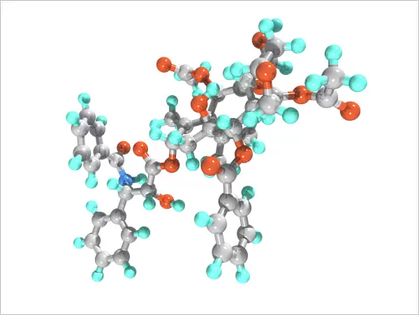 Paclitaxel drug molecule