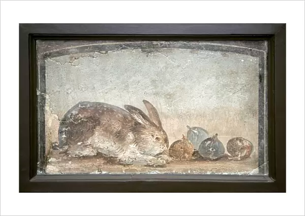 Rabbit and figs, Roman fresco