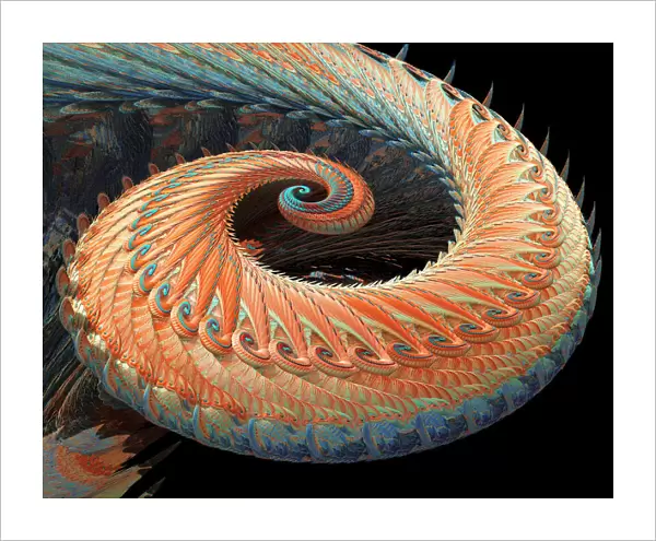 Dragon tail fractal