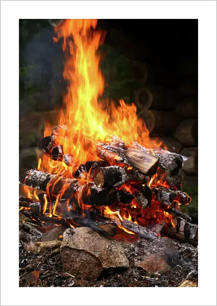 Fire. Logs burning on a campfire