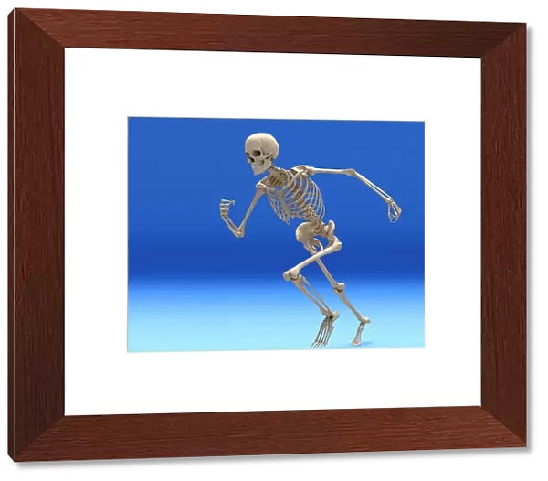 Running skeleton in body, artwork