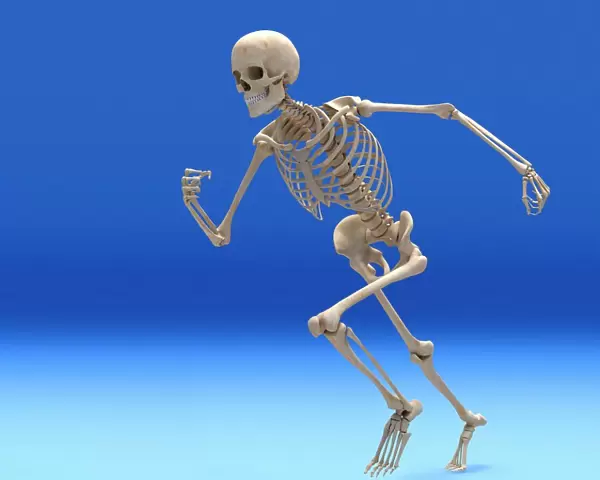 Running skeleton in body, artwork